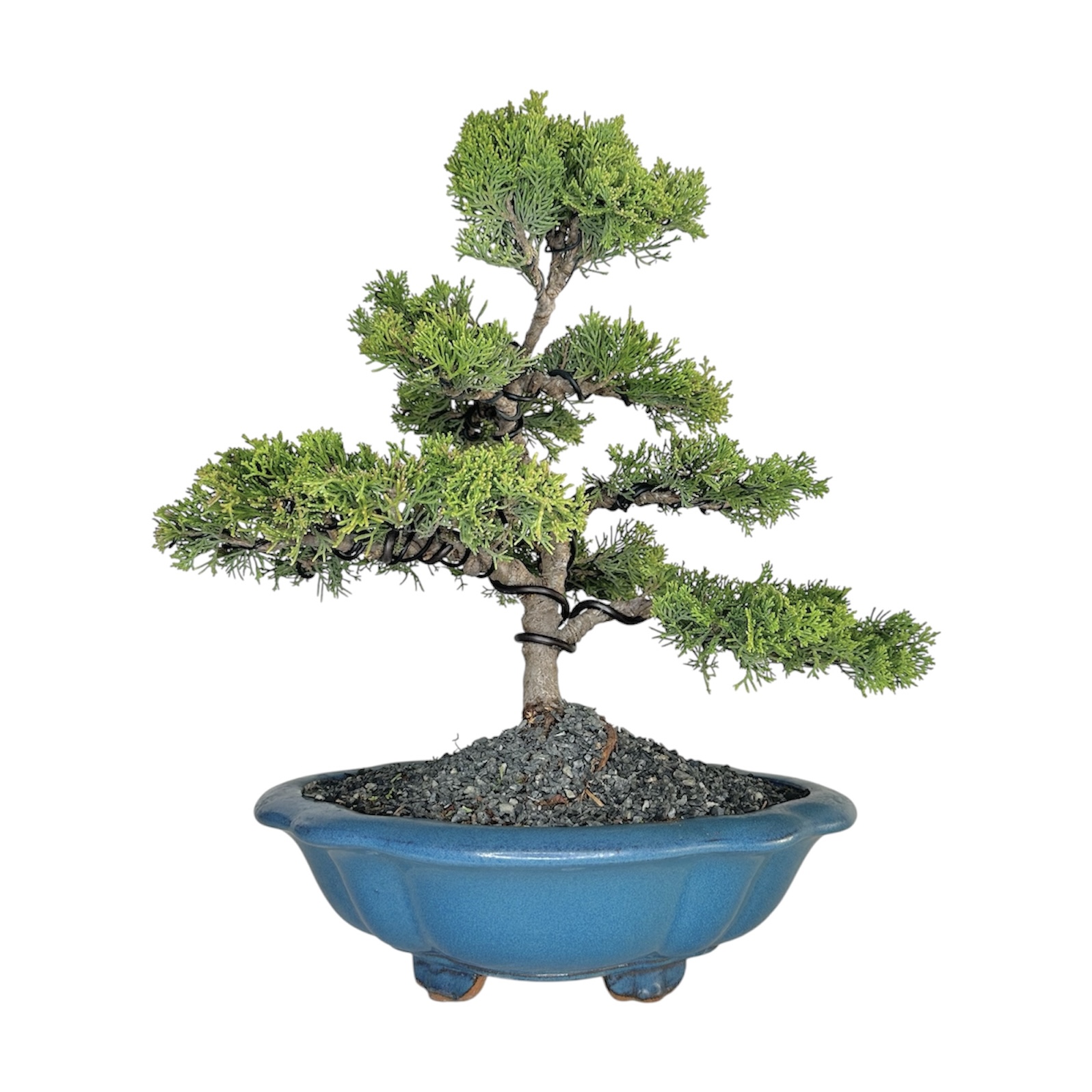 Photoroom_20251009_105831