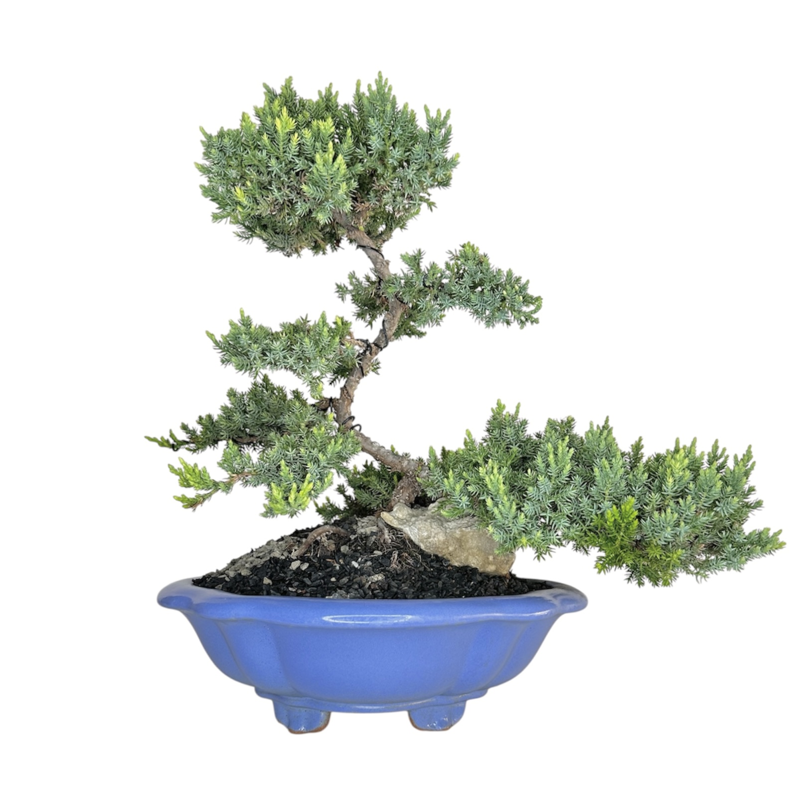 Photoroom_20251009_105908