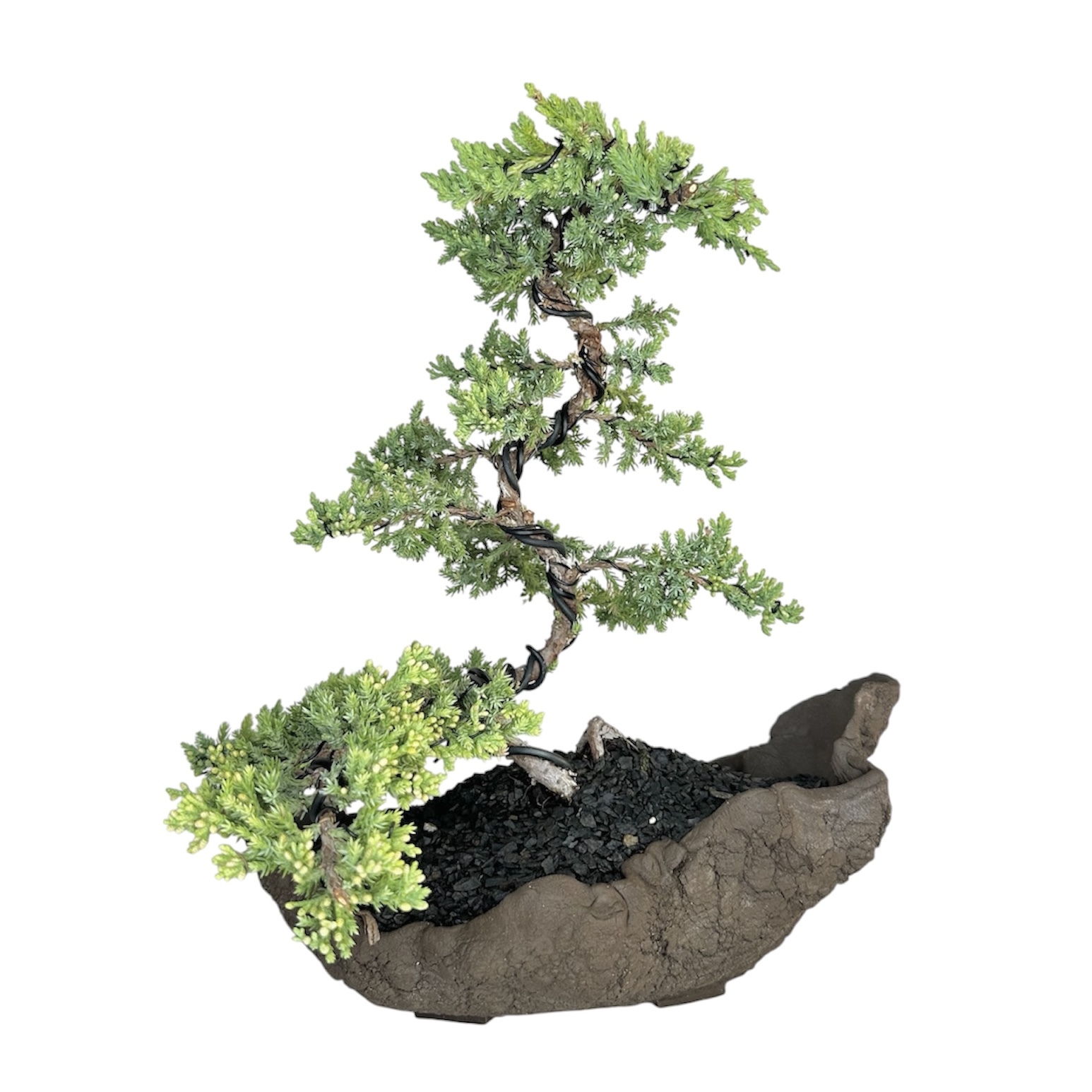 Photoroom_20251009_105941