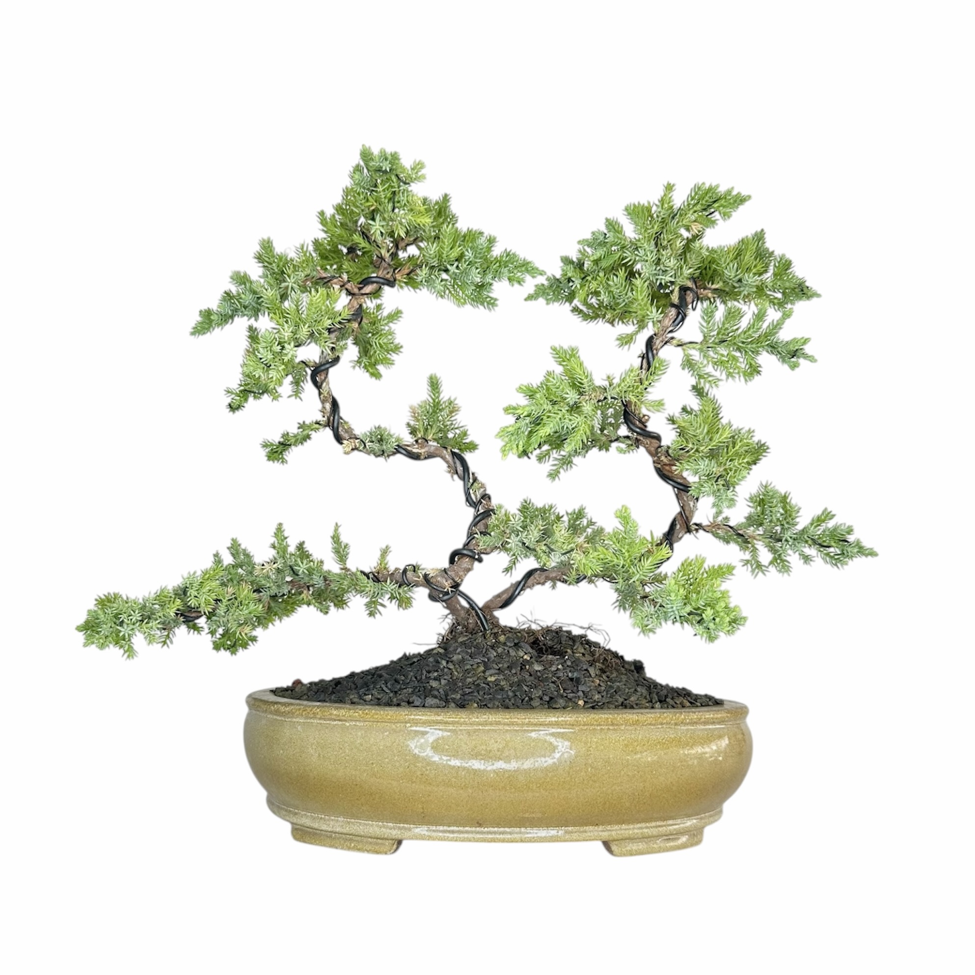 Photoroom_20251025_071800