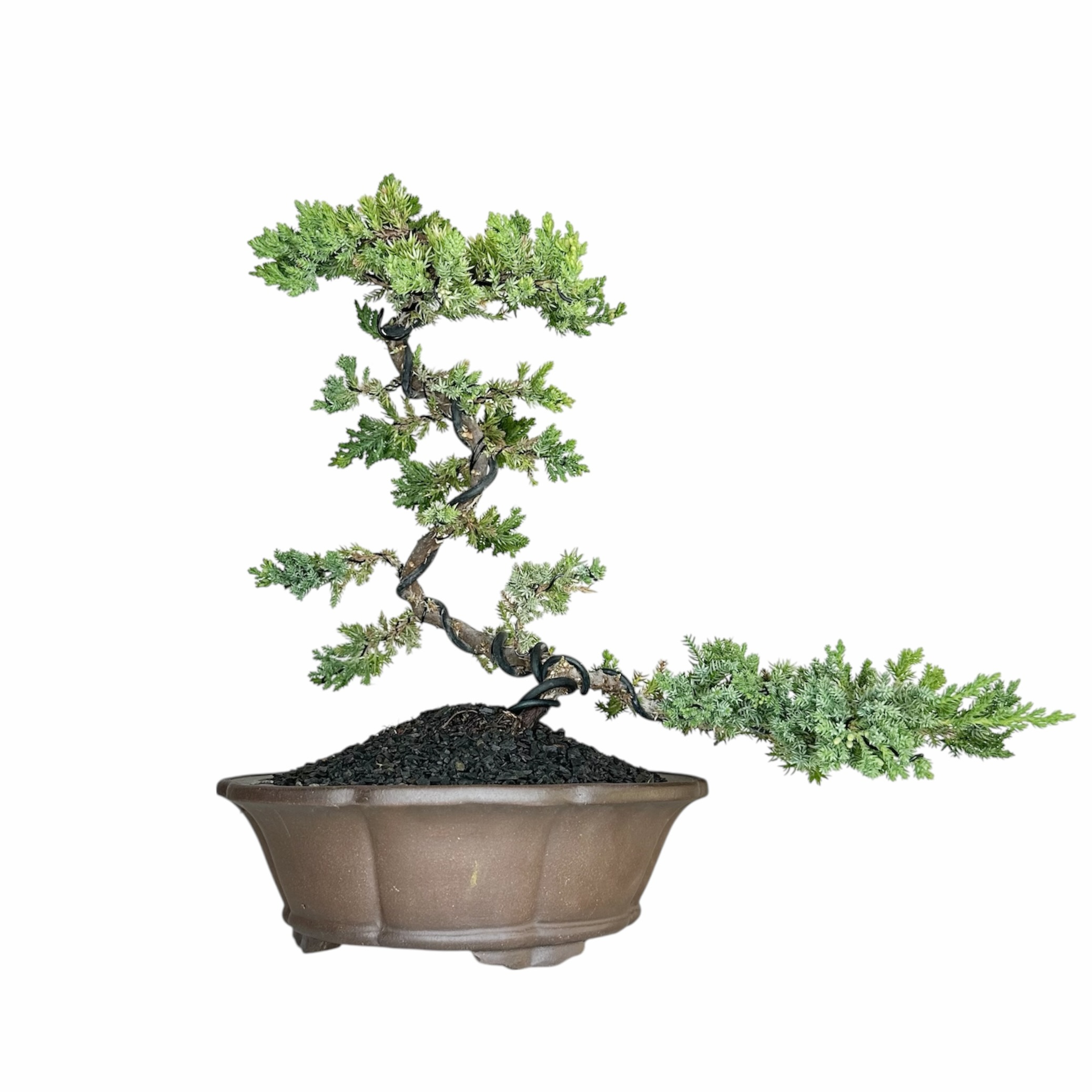 Photoroom_20251025_072043