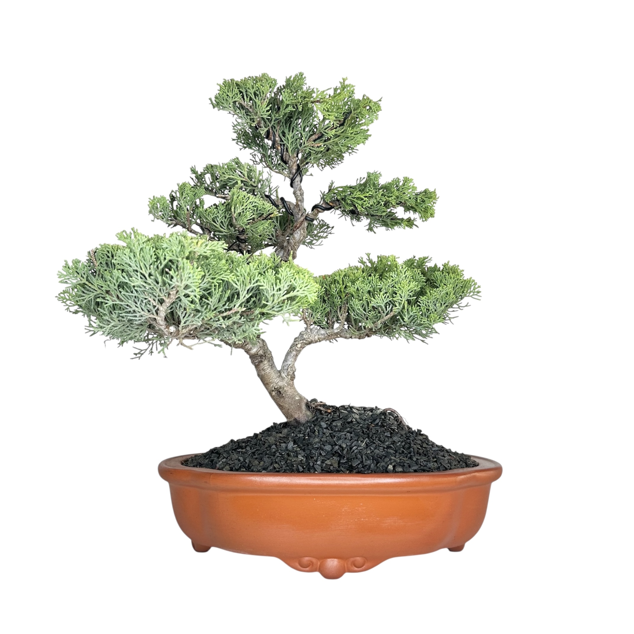 Photoroom_20251101_192531