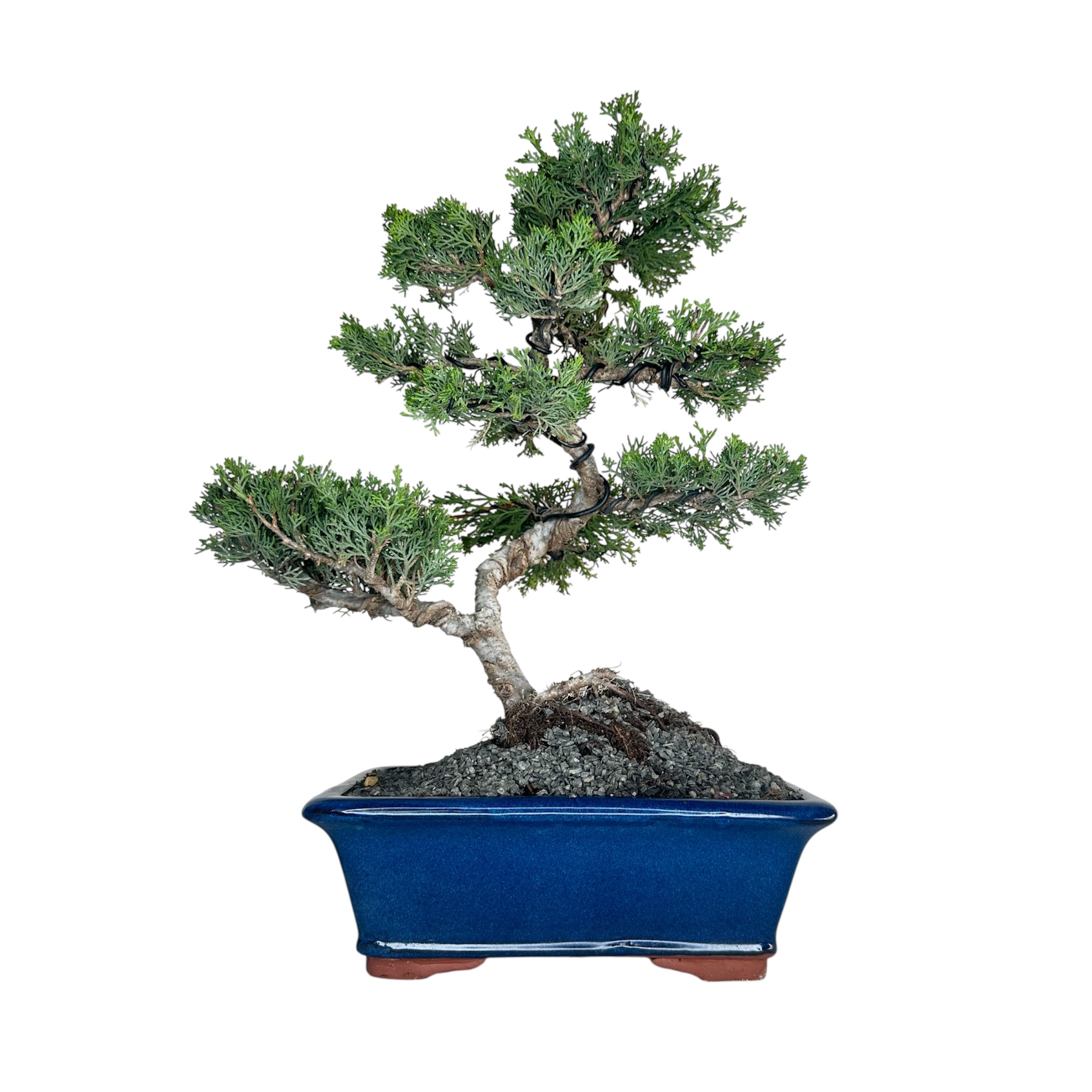 Photoroom_20251124_130856