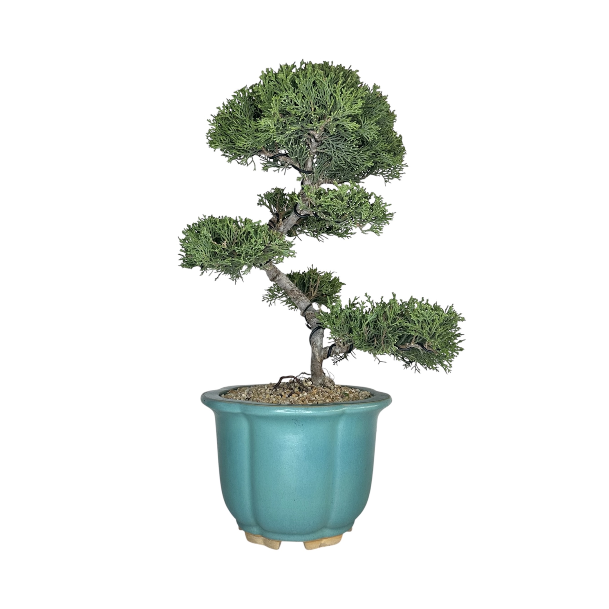 Photoroom_20251124_130952