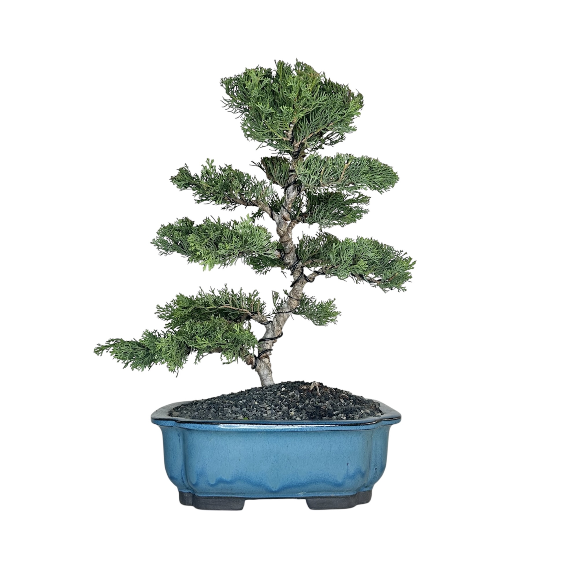 Photoroom_20251124_133857