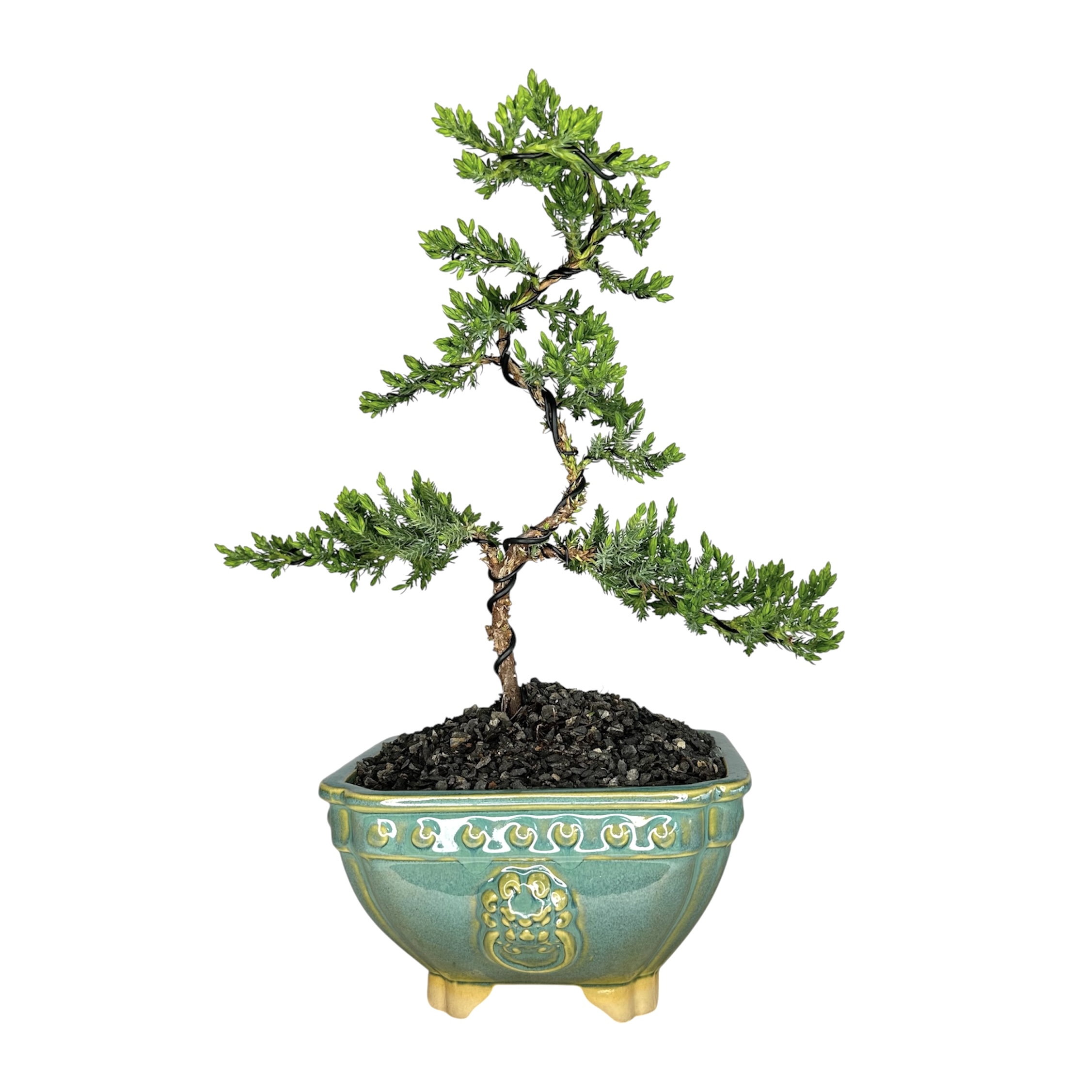 Photoroom_20260310_112218