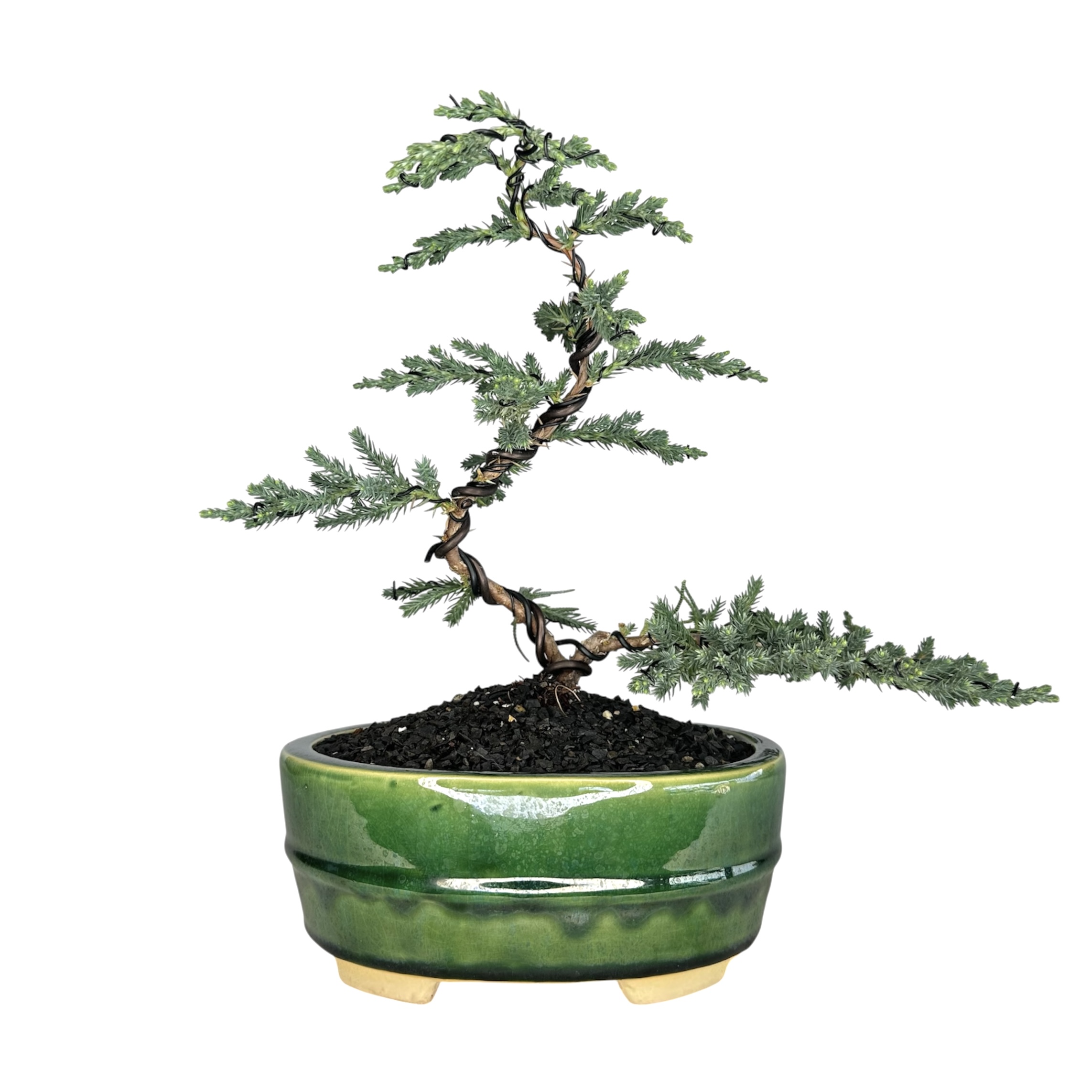 Photoroom_20260310_112315